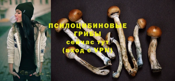 трава Верхний Тагил