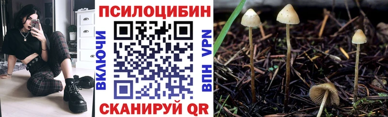 где найти наркотики  Нижневартовск  Псилоцибиновые грибы Magic Shrooms 